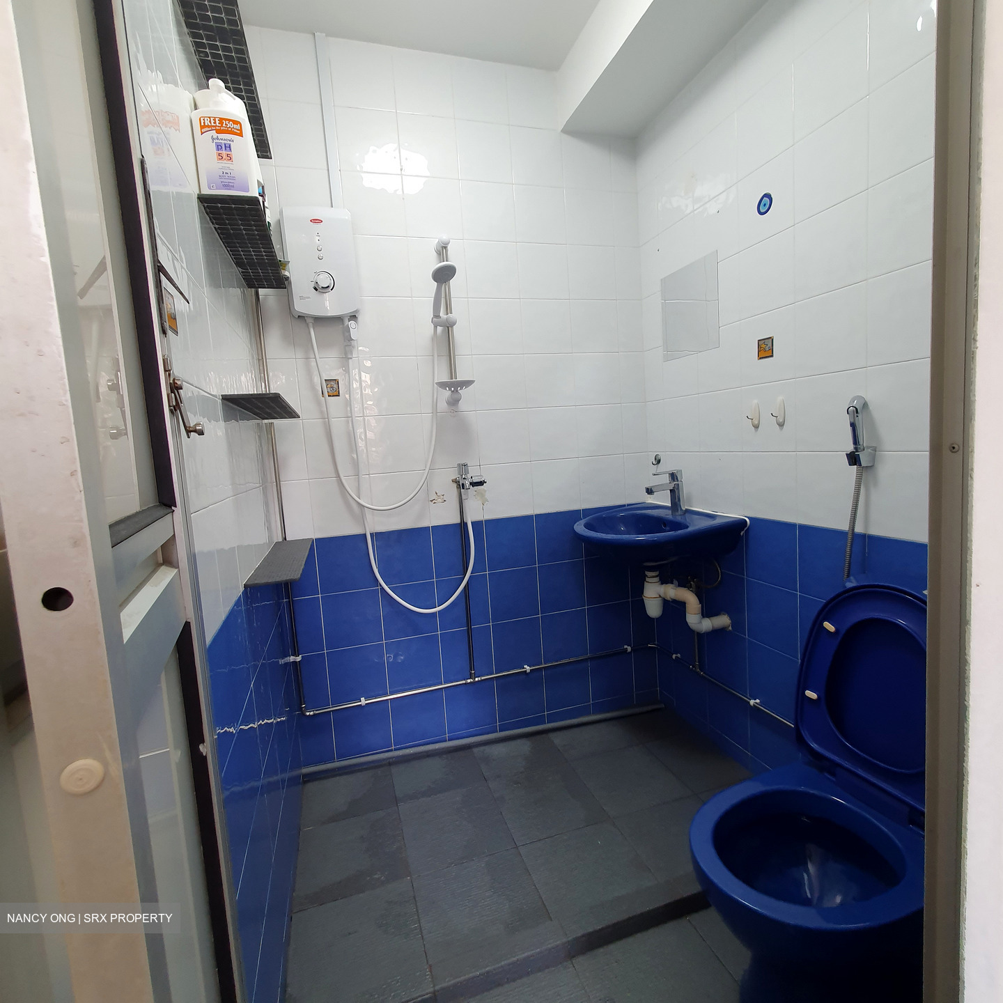 Cashew Park Condominium (D23), Condominium #530212901
